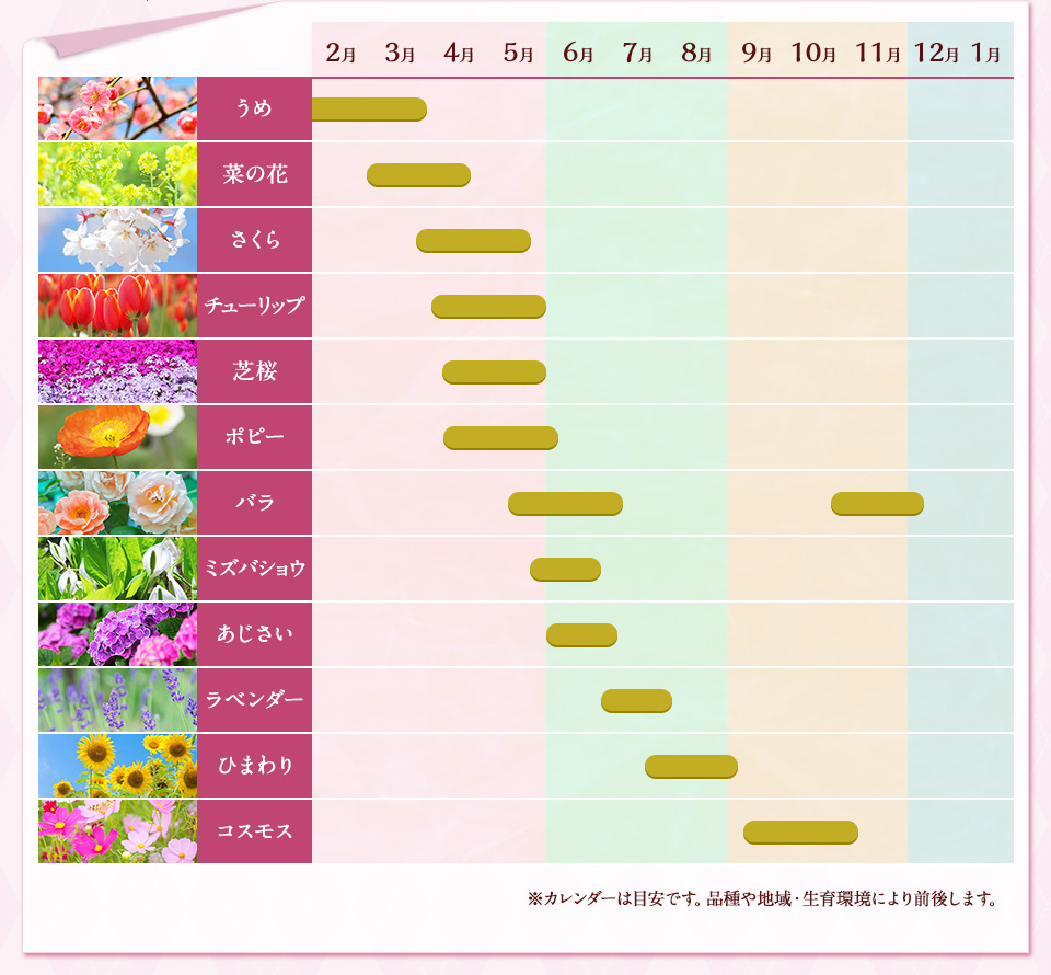 花の見頃カレンダー