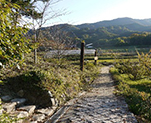 歴史遺産に彩られた花咲く奈良山の辺の道を歩く