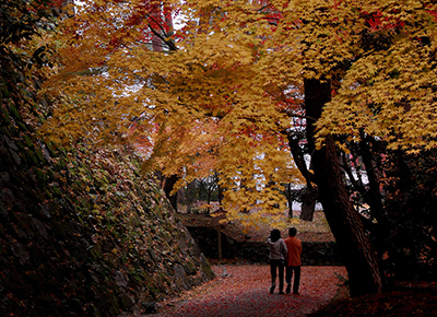 亀山城址