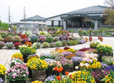 草津市立水生植物公園みずの森