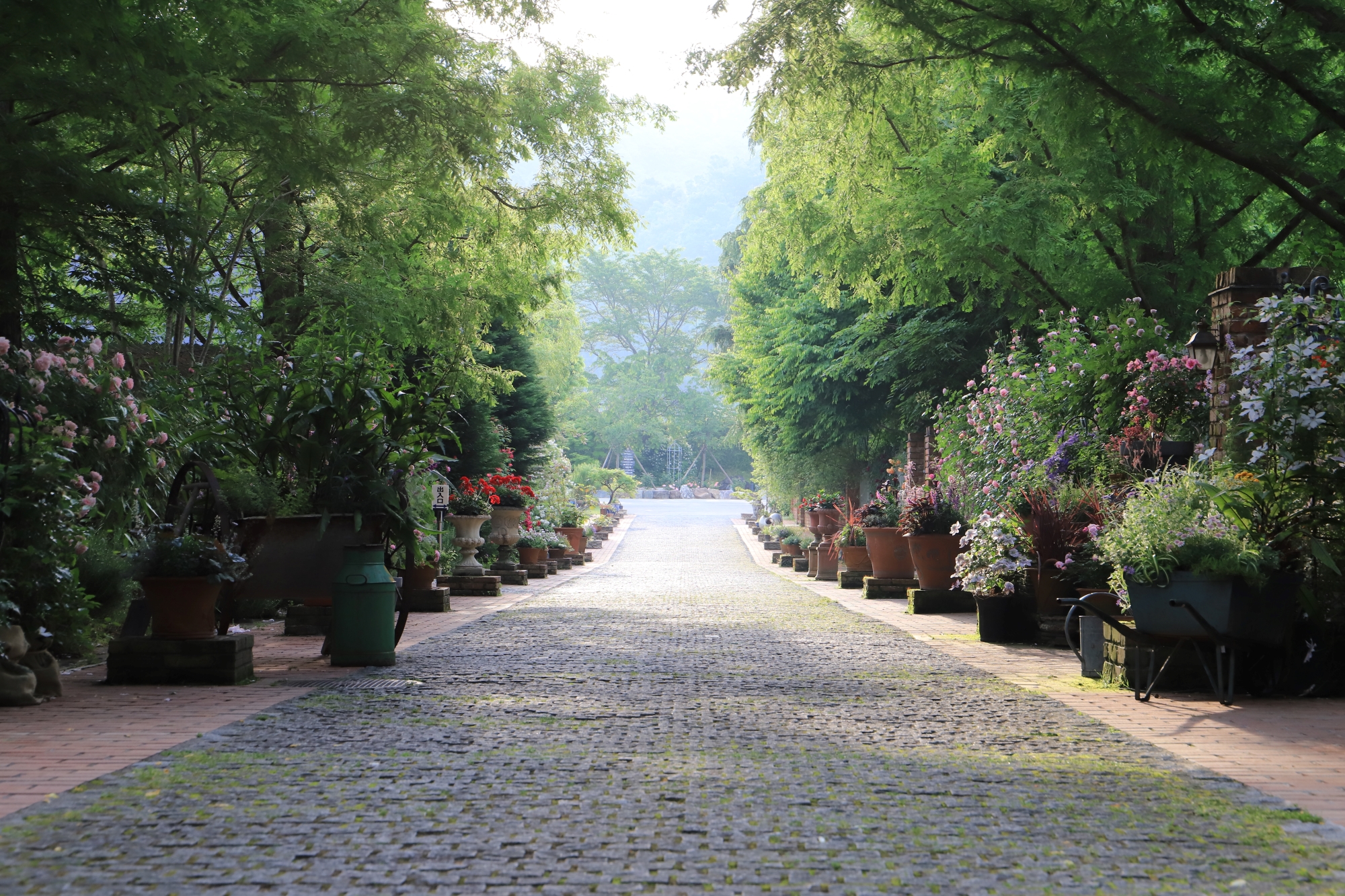 ローザンベリー多和田　　画像提供：（公社）びわこビジターズビューロー　