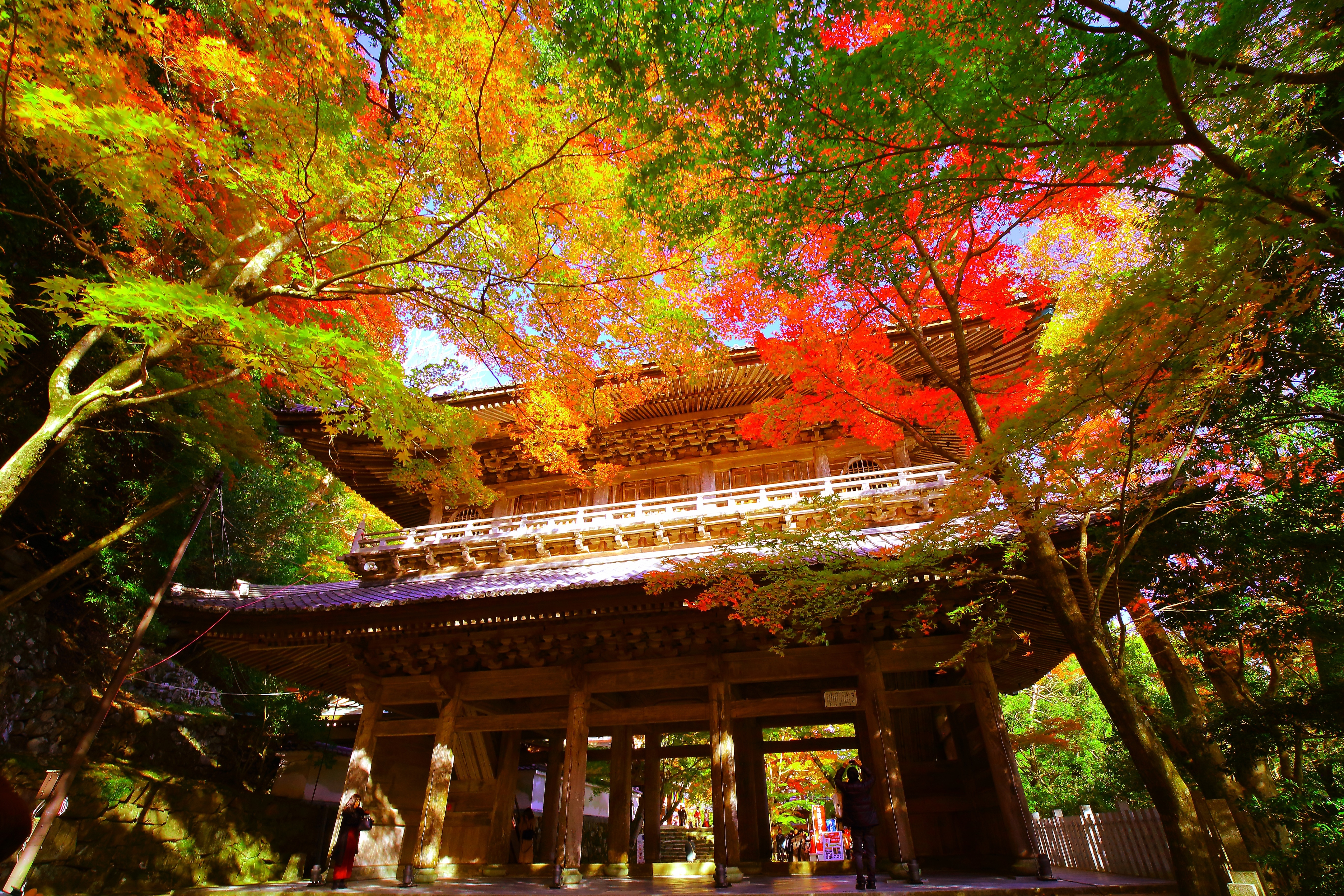 永源寺　　　　画像提供：（公社）びわこビジターズビューロー　