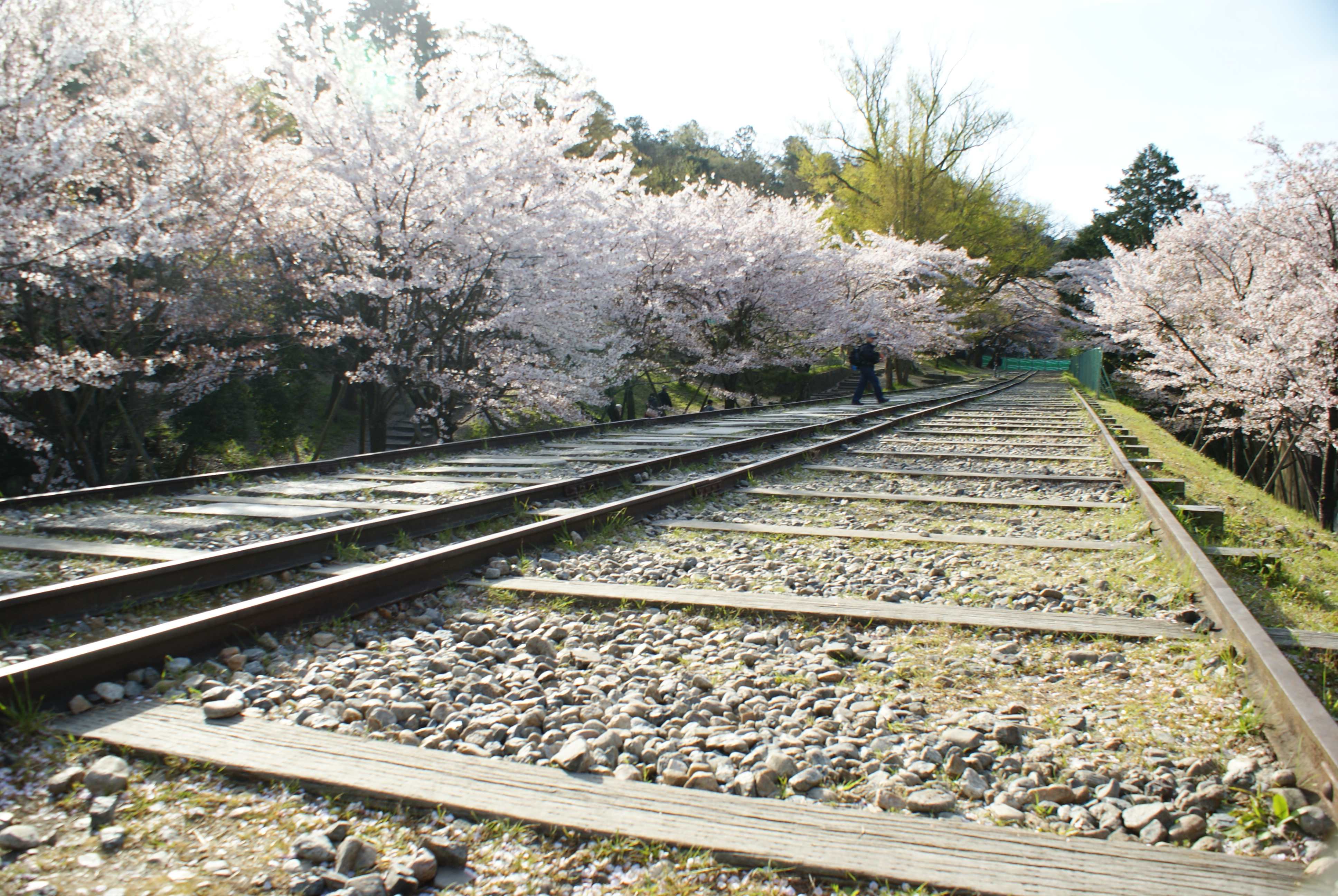 京都市左京区 蹴上インクライン　写真提供：（公社）京都府観光連盟